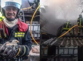 На Тячівщині під час пожежі рятувальники врятували свійську птицю