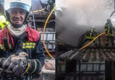 На Тячівщині під час пожежі рятувальники врятували свійську птицю