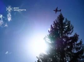 На Воловеччині ліквідували масштабну лісову пожежу