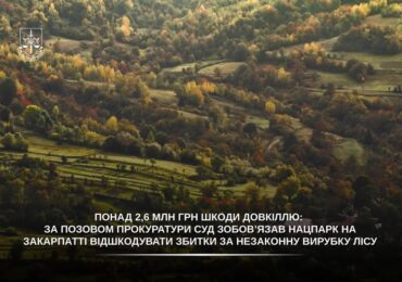 На Закарпатті нацпарк зобов’язали відшкодувати 2,6 млн грн за незаконну вирубку лісу
