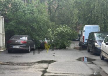 В Ужгороді вітер повалив дерево на автомобіль
