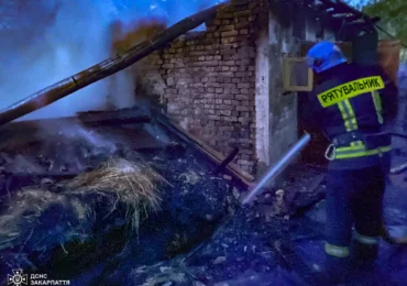 Рятувальники Ужгородщини ліквідували пожежу в надвірній споруді