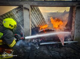 На Ужгородщині врятували худобу та птицю під час пожежі в господарській споруді