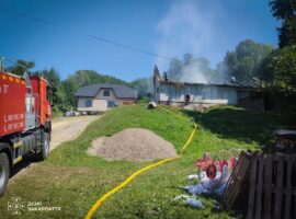 На Тячівщині під час пожежі господар врятував худобу, а сусіди допомагали гасити вогонь