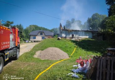 На Тячівщині під час пожежі господар врятував худобу, а сусіди допомагали гасити вогонь