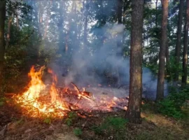 На Закарпатті пожежонебезпечно