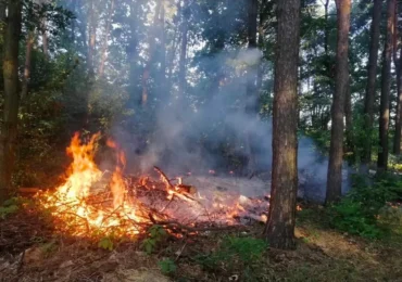 На Закарпатті пожежонебезпечно