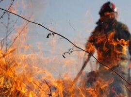 На Закарпатті оголосили пожежну небезпеку