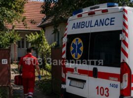 На Тячівщині 9-річного хлопчика госпіталізували після нападу собаки