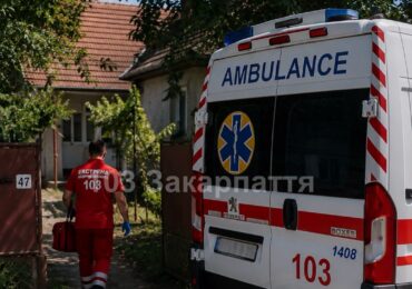 На Тячівщині 9-річного хлопчика госпіталізували після нападу собаки