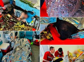 На Берегівщині медики екстреної допомоги врятували пацієнта із занедбаною гангреною