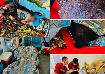 На Берегівщині медики екстреної допомоги врятували пацієнта із занедбаною гангреною