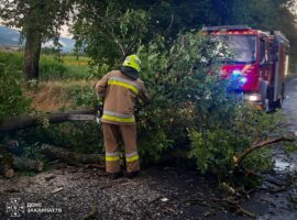 Негода на Закарпатті: рятувальники здійснили 9 виїздів, понад 100 населених пунктів залишилися без світла