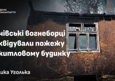 На Тячівщині рятувальники загасили пожежу в будинку серед лісу