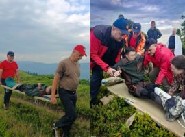 На Тячівщині під час збору ягід травмувався 17-річний хлопець