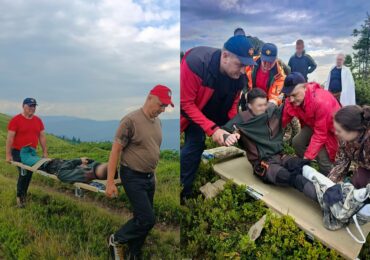 На Тячівщині під час збору ягід травмувався 17-річний хлопець