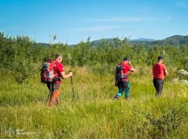 На Ужгородщині тривають пошуки чоловіка, який зник у лісі