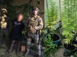У Хусті затримали чоловіка, який вирощував коноплі у спеціально облаштованому парнику
