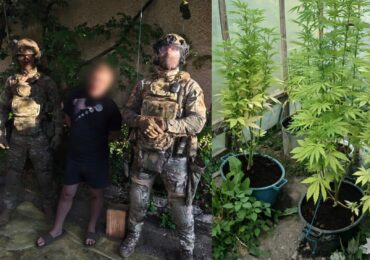 У Хусті затримали чоловіка, який вирощував коноплі у спеціально облаштованому парнику
