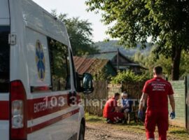 На Мукачівщині 8-річний хлопчик травмувався через коня