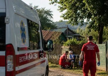 На Мукачівщині 8-річний хлопчик травмувався через коня