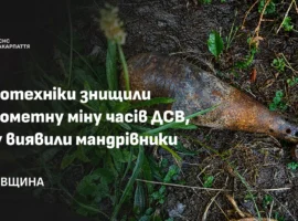 На Рахівщині туристи виявили мінометну міну часів Другої світової війни