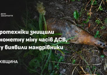 На Рахівщині туристи виявили мінометну міну часів Другої світової війни