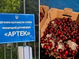 У таборі «Артек Закарпаття» виявили численні порушення умов перебування дітей: деталі перевірки