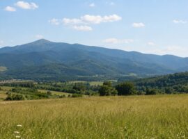На Хустщині прокуратура через суд вимагає стягнути понад 883 тисяч гривень боргу за оренду землі