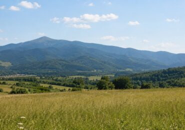 На Хустщині прокуратура через суд вимагає стягнути понад 883 тисяч гривень боргу за оренду землі