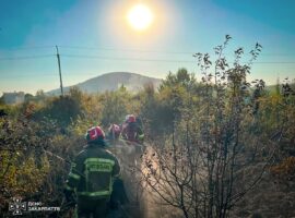 За вихідні на Закарпатті вигоріло майже 8 гектарів сухої рослинності
