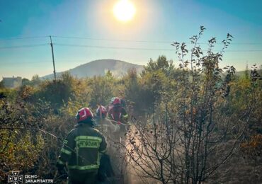 За вихідні на Закарпатті вигоріло майже 8 гектарів сухої рослинності