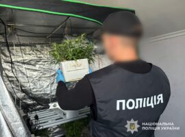 На Закарпатті вилучили понад пів кіло канабісу та 246 кущів конопель