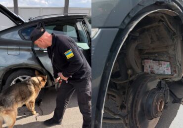 На Закарпатті митний пес Амур знайшов у BMW понад 1600 пачок сигарет